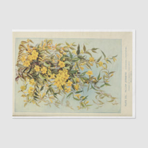 Floral Ephemera Decoupage Jasmine Sunflowers Tissue Paper
