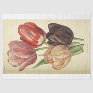 Floral Ephemera Decoupage Pink Purple Spring Tulip Tissue Paper