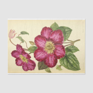 Floral Ephemera Decoupage Pink Tissue Paper