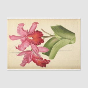 Floral Ephemera Decoupage Pink Tissue Paper