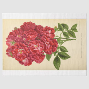 Floral Ephemera Decoupage Pink Tissue Paper