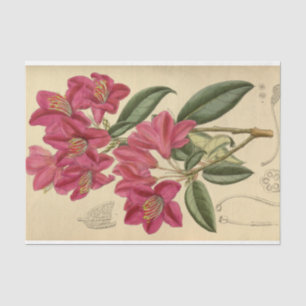 Floral Ephemera Decoupage Pink Tissue Paper