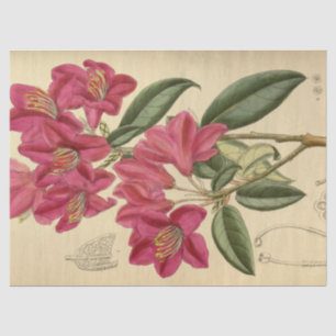 Floral Ephemera Decoupage Pink Tissue Paper