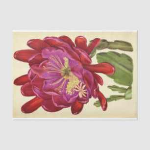 Floral Ephemera Decoupage Pink Tissue Paper