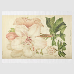 Floral Ephemera Decoupage Pink White Rhododendron Tissue Paper