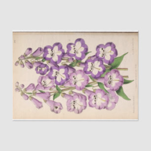 Floral Ephemera Decoupage Purple French Flowers Ti Tissue Paper