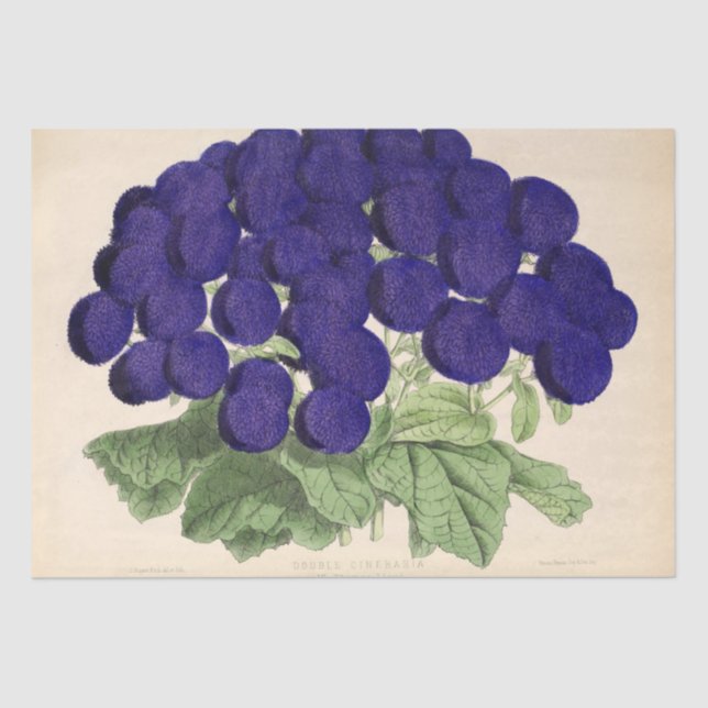 Floral Ephemera Decoupage Purple French Flowers Ti Tissue Paper (Front)
