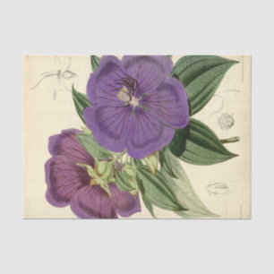 Floral Ephemera Decoupage Purple Tissue Paper