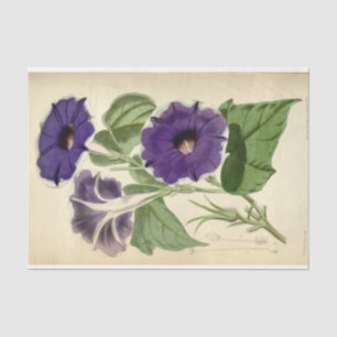 Floral Ephemera Decoupage Purple Tissue Paper