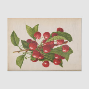 Floral Ephemera Decoupage Red Cherries Tissue Paper