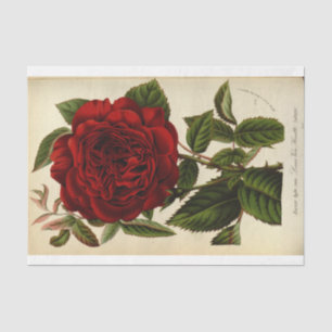 Floral Ephemera Decoupage Red Rose Tissue Paper