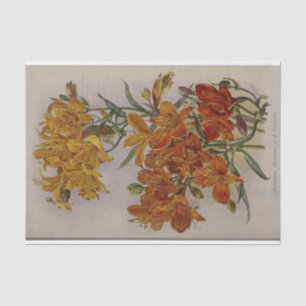 Floral Ephemera Decoupage Yellow Orange Tissue Paper