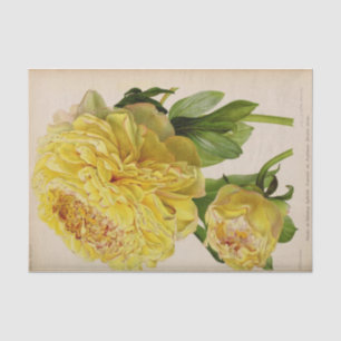 Floral Ephemera Decoupage Yellow Roses Tissue Paper