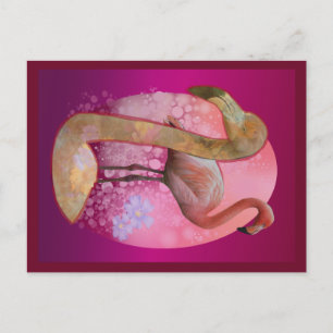 Floral Flamingo Postcard