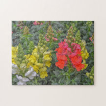 Floral Flowers Puzzle Snapdragon Colourful Puzzle