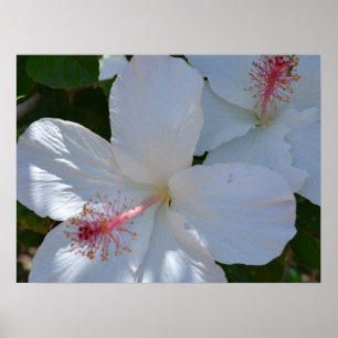 Floral Fragrance Canvas Print