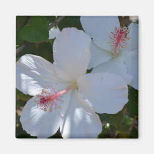 Floral Fragrance Magnet