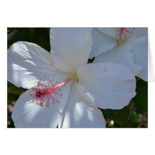 Floral Fragrance Note Card