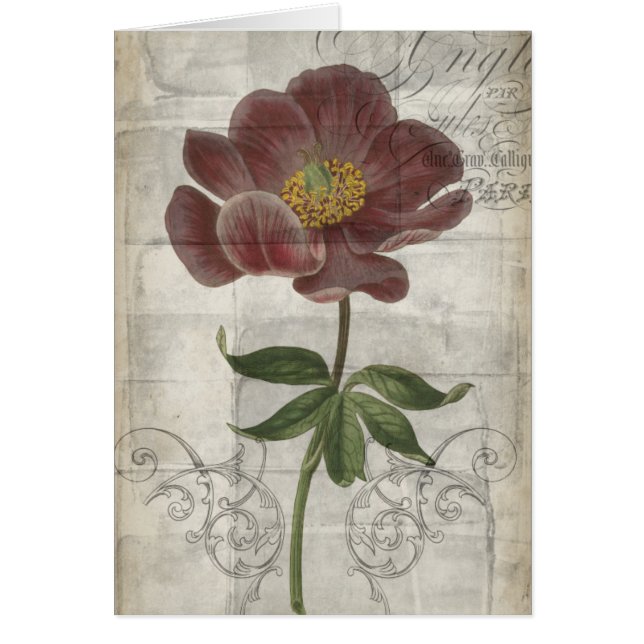 Floral français I (Devant)