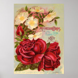 Floral Gem 1897 Roses Vintage Flower Catalogue Poster