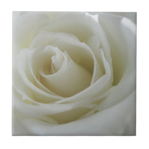 Floral Glow Tile