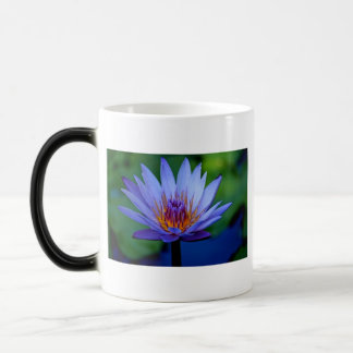 FLORAL GRACE MAGIC MUG