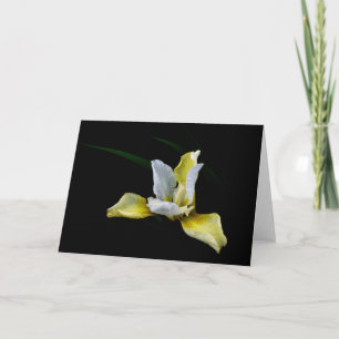 Floral greetings card, blank inside. card