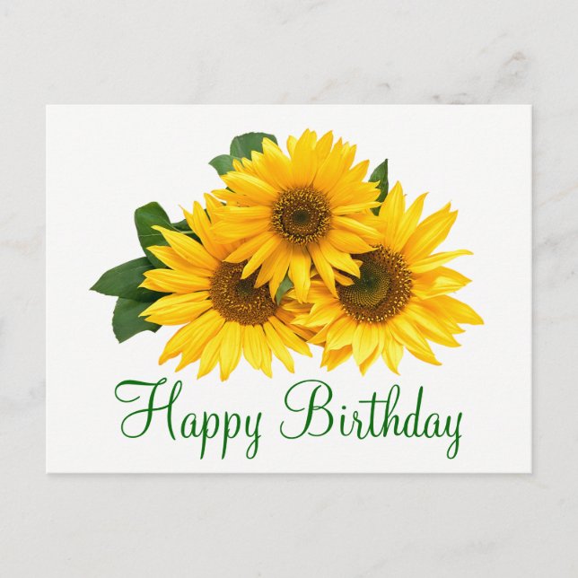 Floral Happy Birthday Sunflower Yellow Flowers Postcard (Front)