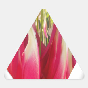Floral Heart Art Print Triangle Sticker