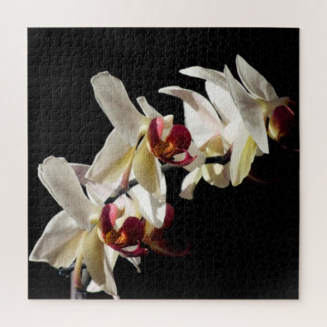 Floral Highlights of White Phalaenopsis Orchids Jigsaw Puzzle (Vertical)