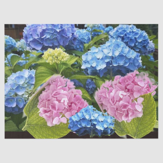 Floral Hydrangea Pink Blue Decoupage Craft  Tissue Paper (Front)