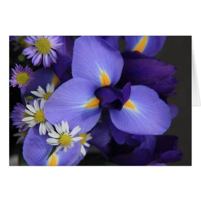 Floral, Iris et Mini Daisy, Notes vierges (Devant horizontal)
