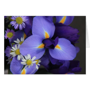 Floral, iris et mini marguerite, notes vides