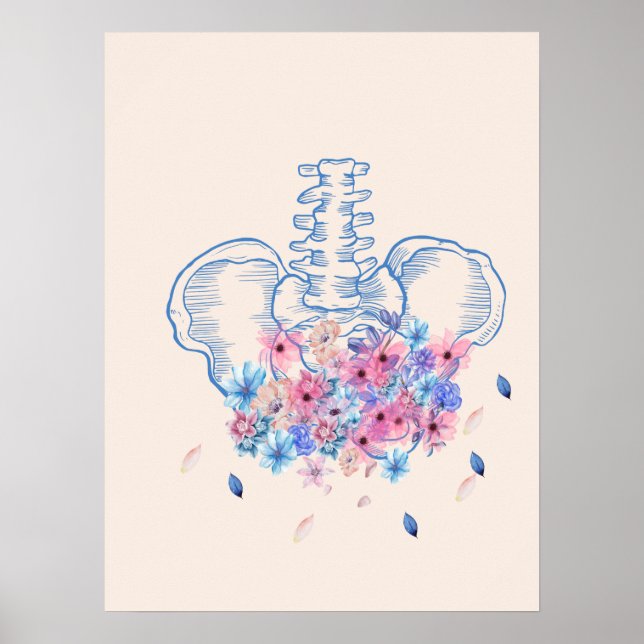 Floral medical pelvis anatomy poster  (Front)
