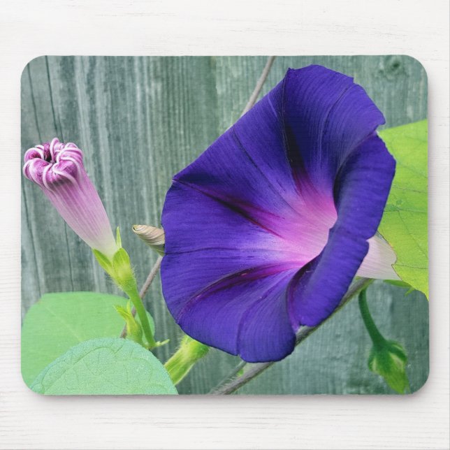 Floral Mouse Pad (Front)