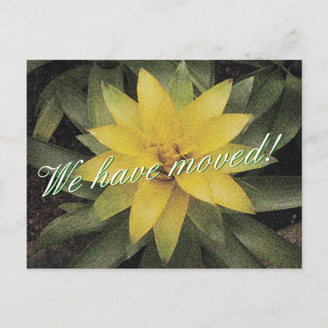Floral moving postcards with yellow flower (Front)