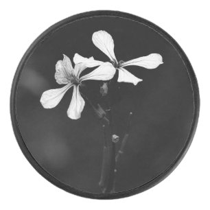 floral noir et blanc minimal