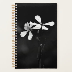floral noir et blanc minimal