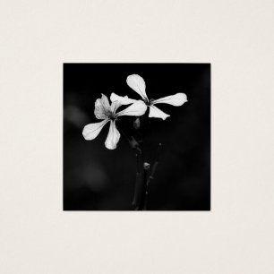 floral noir et blanc minimal