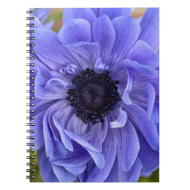 Floral Note Book (Front)