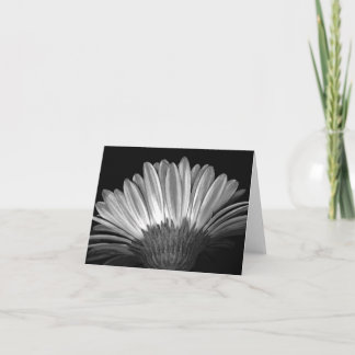 Floral Note Card of Silver Gerbera Daisy