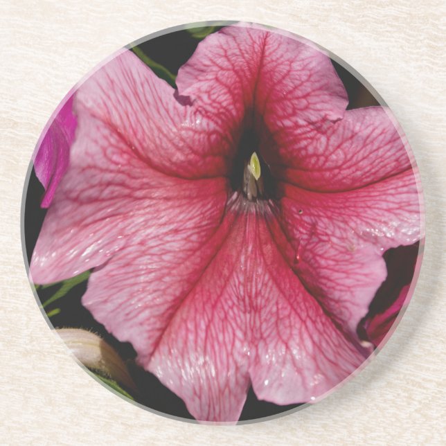 Floral Outburst Coaster (Front)
