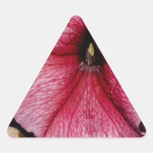 Floral Outburst Triangle Sticker