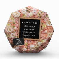 Floral Pastel Baby Reveal pregnancy announcement 