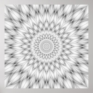 Floral Pattern in Black and White Poster