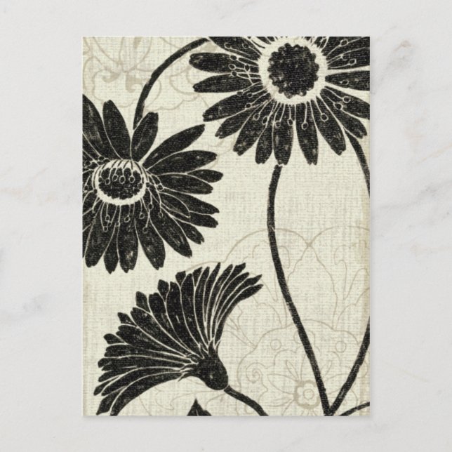Floral Patterns in Black and White Postcard (Front)