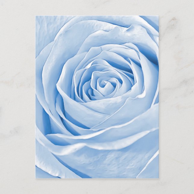 Floral Photo Dainty Light Blue Rose Postcard (Front)
