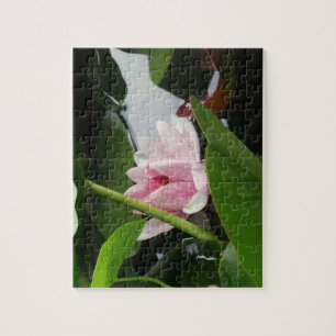 Floral Photo Pink Blossoms Water Lilly Jigsaw Puzzle