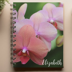 Floral Photography Elegant Pink Orchids Custom Notebook