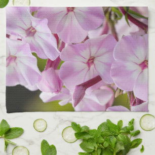 Floral Photography, Pink Phlox Flower Kitchen Towel